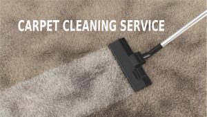 Is Your Carpet Hiding Allergens? Get Carpet Cleaning Services in Vadodara Now